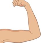 Unable to Extend Arm After Bicep Workout, Can't Straighten Arm After Bicep Workout What To Do