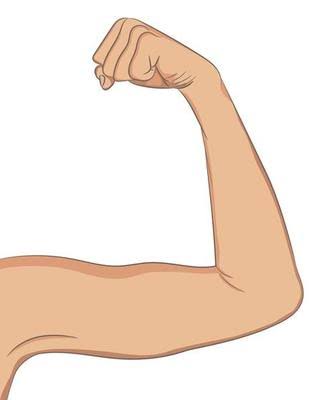 Unable to Extend Arm After Bicep Workout, Can't Straighten Arm After Bicep Workout What To Do